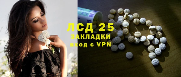 гашик Мегион