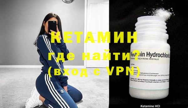 прущие грибы Кадников