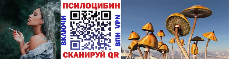 закладки  darknet Telegram  Псилоцибиновые грибы Cubensis  Медынь 