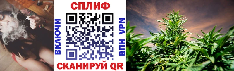 где продают наркотики  Медынь  Бошки Шишки индика 